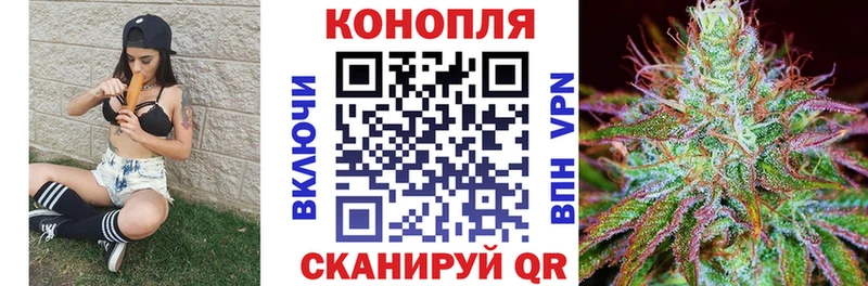 Какие есть наркотики Красноярск Гашиш  Галлюциногенные грибы  гидра зеркало  Мефедрон  Кокаин  Марихуана  АМФ 