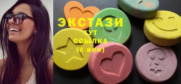 индика Горняк