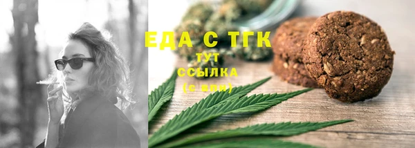 индика Горняк