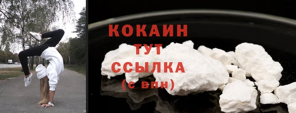 индика Горняк