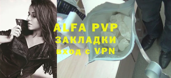 индика Горняк