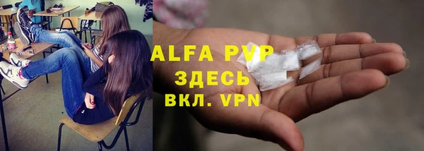 индика Горняк