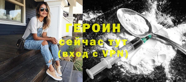 индика Горняк