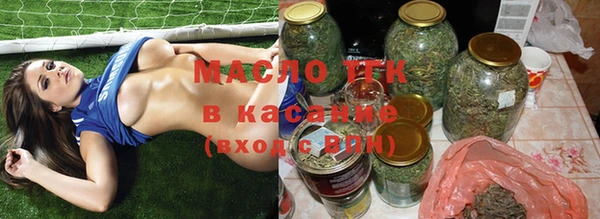 индика Горняк