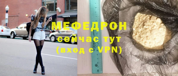 индика Горняк