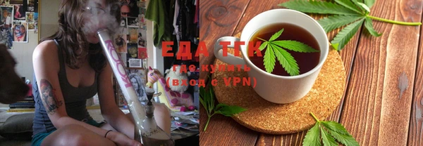 индика Горняк