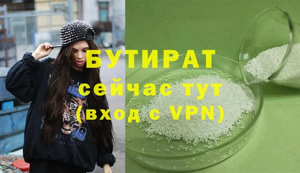 индика Горняк