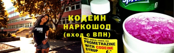 индика Горняк