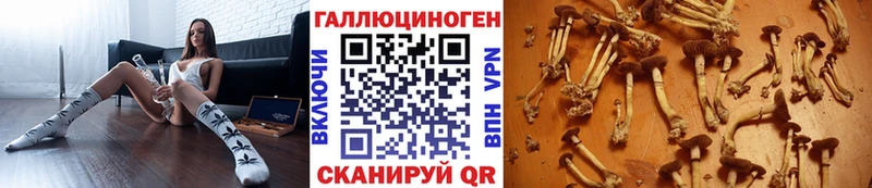 даркнет телеграм  Красноярск  Псилоцибиновые грибы ЛСД 